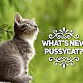Whats New Pussycat by Esoterica Art Agency Whats New Pussycat by Esoterica Art Agency