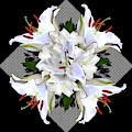 White Lily Collage for Pillows Digital Art by Delynn Addams White Lily Collage for Pillows Digital Art by Delynn Addams