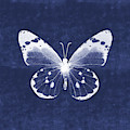 White and Indigo Butterfly 1- Art by Linda Woods Mixed Media by Linda Woods White and Indigo Butterfly 1- Art by Linda Woods Mixed Media by Linda Woods