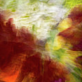 White and orange rose abstract Photograph by Phillip Rubino White and orange rose abstract Photograph by Phillip Rubino