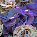 White and purple flower pastel Photograph by Phillip Rubino White and purple flower pastel Photograph by Phillip Rubino