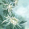 White Chrysanthemums Flowers Painting by Ina Petrashkevich White Chrysanthemums Flowers Painting by Ina Petrashkevich