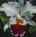 White Orchid Painting by Lynne Pittard White Orchid Painting by Lynne Pittard