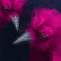 WHITE Ravens Painting by Vart Studio WHITE Ravens Painting by Vart Studio