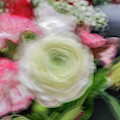 White rose blur abstract Photograph by Phillip Rubino White rose blur abstract Photograph by Phillip Rubino