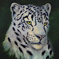 Snow Leopard Painting by Lynne Pittard Snow Leopard Painting by Lynne Pittard