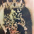 Who? by Brandi Pfleider Who? by Brandi Pfleider