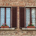 Window Flowers of Tuscany Photograph by David Letts Window Flowers of Tuscany Photograph by David Letts