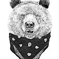 Wild bear Mixed Media by Balazs Solti Wild bear Mixed Media by Balazs Solti