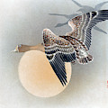 Wild Geese Painting by Shuko Wild Geese Painting by Shuko