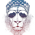 Wild lion II by Balazs Solti Wild lion II by Balazs Solti
