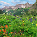 Wildflowers In Yankee Boy Basin, San Juan Mts, Colorado Photograph by Tim Fitzharris Wildflowers In Yankee Boy Basin, San Juan Mts, Colorado Photograph by Tim Fitzharris