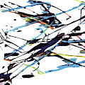 Wings Digital Art by Jimmy Williams Wings Digital Art by Jimmy Williams