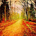 Winsen Luhe Germany - Nature Reserve High Wood - Watercolor Painting by Patricia Piotrak Winsen Luhe Germany - Nature Reserve High Wood - Watercolor Painting by Patricia Piotrak