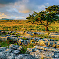 Winskill Stones Limestone Pavement by David Ross