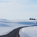 Winter Country Road 2 Photograph by Tatiana Travelways