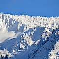 Winter Photograph by Dorrene BrownButterfield Winter Photograph by Dorrene BrownButterfield
