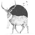 Winter Is All Around by Balazs Solti Winter Is All Around by Balazs Solti