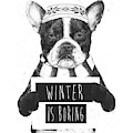 Winter is boring Mixed Media by Balazs Solti Winter is boring Mixed Media by Balazs Solti