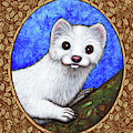 Winter Weasel Portrait - Brown Border Painting by Amy E Fraser Winter Weasel Portrait - Brown Border Painting by Amy E Fraser