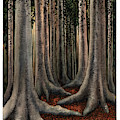 Witchwood by Hilda Wagner