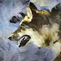 Wolf Storm by Ernie Echols Wolf Storm by Ernie Echols