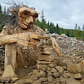 Wood Man Photograph by Dmdcreative Photography Wood Man Photograph by Dmdcreative Photography