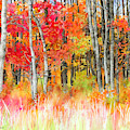Woodsy Forest Painting by Hailey E Herrera Woodsy Forest Painting by Hailey E Herrera