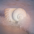Worn By The Sea Photograph by Kathy Baccari Worn By The Sea Photograph by Kathy Baccari