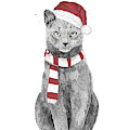 Xmas cat Mixed Media by Balazs Solti Xmas cat Mixed Media by Balazs Solti