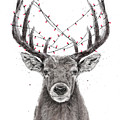 Xmas Deer by Balazs Solti Xmas Deer by Balazs Solti