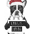Xmas is coming Mixed Media by Balazs Solti Xmas is coming Mixed Media by Balazs Solti