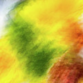 Yellow and green abstract Photograph by Phillip Rubino Yellow and green abstract Photograph by Phillip Rubino