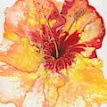 Yellow and Red Hibiscus Painting by Darice Machel McGuire Yellow and Red Hibiscus Painting by Darice Machel McGuire