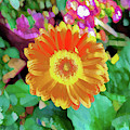 Yellow flower with green leaf abstract Photograph by Phillip Rubino Yellow flower with green leaf abstract Photograph by Phillip Rubino
