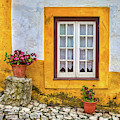 Yellow Window of Obidos Photograph by David Letts Yellow Window of Obidos Photograph by David Letts