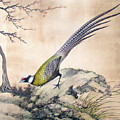 Yellow Wings Painting by John Gholson Yellow Wings Painting by John Gholson