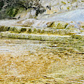 Yellowstone 4 Photograph by Segura Shaw Photography Yellowstone 4 Photograph by Segura Shaw Photography