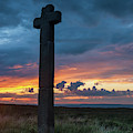 Young Ralph Cross, North York Moors by David Ross