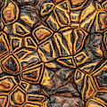 Zany Wall Abstract Pencil by Don Northup