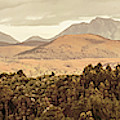 Zeehan And Beyond by Jorgo Photography - Wall Art Gallery Zeehan And Beyond by Jorgo Photography - Wall Art Gallery