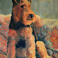 Zuzu by Keith Burgess Zuzu by Keith Burgess
