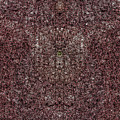 A2 Digital Art by Primary Design Co A2 Digital Art by Primary Design Co