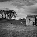Addingham Photograph by Mariusz Talarek Addingham Photograph by Mariusz Talarek