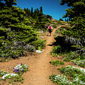 Almost There #1 by Doug Scrima