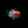 Artistic Galaxy Koi Betta Fish Digital Art by Sambel Pedes Artistic Galaxy Koi Betta Fish Digital Art by Sambel Pedes