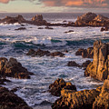 Asilomar State Beach Photograph by Derek Dean Asilomar State Beach Photograph by Derek Dean