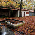 Autumn Landscape Photograph by Michalakis Ppalis Autumn Landscape Photograph by Michalakis Ppalis