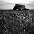 Barn in America Photograph by WonderlustPictures By Tommaso Boddi Barn in America Photograph by WonderlustPictures By Tommaso Boddi