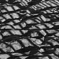 Beach Shadows Photograph by Cathy Kovarik Beach Shadows Photograph by Cathy Kovarik